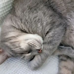 Meet your Posher, Gary